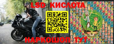 бошки Кингисепп