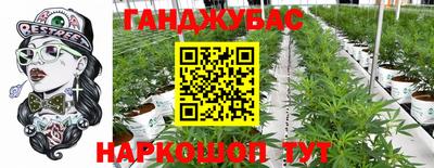 бошки Кингисепп