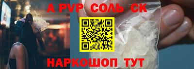бошки Кингисепп