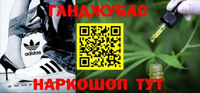 бошки Кингисепп