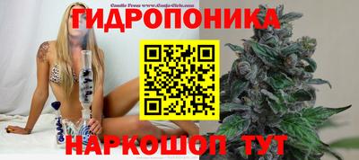 ECSTASY Кинель