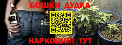 дурь Кимры